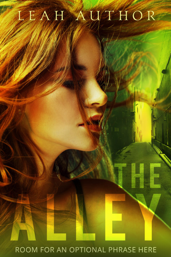 premade book covers young adult
