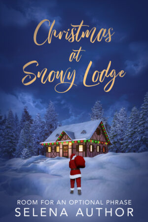 premade book covers illustrated christmas romance